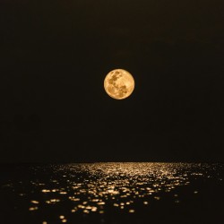 Yellow moon on the sea.